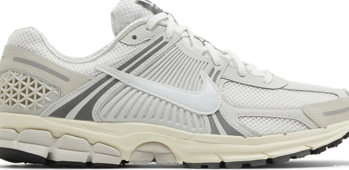 Vomero Nike Zoom 5 Platinum Tint 0731